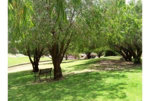 a tree in the middle of a grassy field at Discovery Parks - Perth Airport in Perth