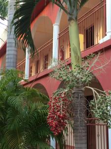 un palmier devant un bâtiment rose dans l'établissement LES JARDINS DU FLAMBOYANT, à Ziguinchor