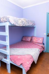 A bunk bed or bunk beds in a room at Anglesea Backpackers