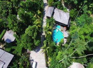 an overhead view of a swimming pool and a house at Fig Tree Hills Resort (花果山度假村) in Bayan Lepas