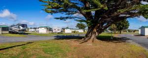 德文港Discovery Parks - Devonport的房屋前的树,房屋前有马达