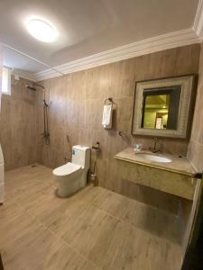 a bathroom with a toilet and a sink and a mirror at Desert Rose Camp in Bidiyah