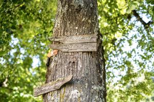 Fotografie z fotogalerie ubytování Hotel-Gasthof Deixelberger v destinaci Wolfsberg