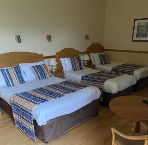 Letto o letti in una camera di O'Shea's Hotel