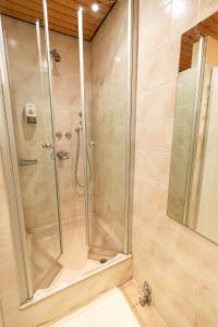 a shower with a glass door in a bathroom at Hotel Landgasthof Ratz in Rheinau