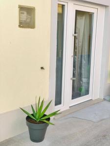 una maceta sentada frente a una puerta en Estúdio Doce Lar, en Peniche