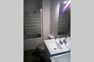 a bathroom with a sink and a toilet at STUDIO double 21 centre de LIMOGES WIFI in Limoges +12 photos