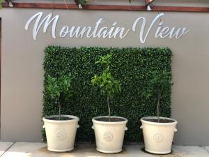 trois plantes en pot devant un panneau indiquant la vue sur la montagne dans l'établissement Mountain View Country Guest House, à Cradock