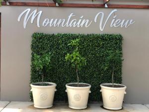 Fotografie z fotogalerie ubytování Mountain View Country Guest House v destinaci Cradock