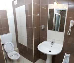 a bathroom with a toilet and a sink at Becsi Szelet in Miercurea-Ciuc
