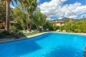einen Pool in einem Garten mit Palmen in der Unterkunft Mancor in Mancor del Valle