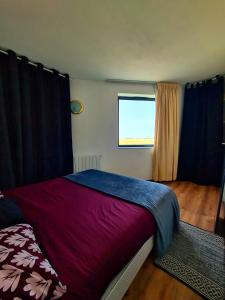 Un dormitorio con una cama grande y una ventana en Logement entier 30m² - 800m du Futuroscope, en Chasseneuil-du-Poitou