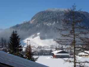 una montaña cubierta de nieve con una casa y un árbol en Apartment Chez-Nous by Interhome, en Gstaad