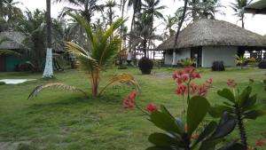Taman di luar Zéfiro Hostal