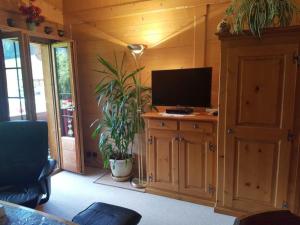 ein Wohnzimmer mit einem TV an einer Holzwand in der Unterkunft Apartment Steimandli by Interhome in Gstaad