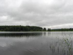 une grande masse d'eau avec des arbres à l'arrière-plan dans l'établissement Holiday Home Helmiranta by Interhome, à Saarijärvi