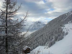 a view of a snowy mountain range with a tree at Apartment Almenrausch Andreas by Interhome in Riederalp