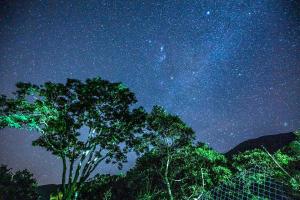 een sterrennacht met een boom op de voorgrond bij Estalagem Engenho de Serra in Itamonte