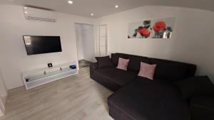 Televízia a/alebo spoločenská miestnosť v ubytovaní Apartments DaMa
