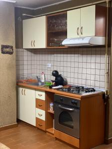 eine Küche mit Herd und Spüle in der Unterkunft Friend's House in Piteşti