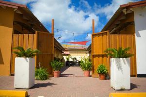 two white vases with plants inront of a fence at Aruba Smart Apartments in Palm-Eagle Beach