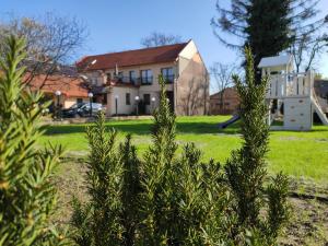 un cortile con una casa e un frisbee di LuDo Apartman Hotel & Spa a Makó