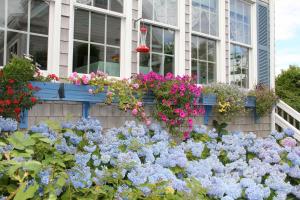 a bunch of flowers in front of a house at An English Garden in Dennis Port