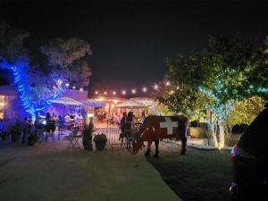 Evening entertainment para sa mga guests na naka-stay sa Barons CreekSide Resort