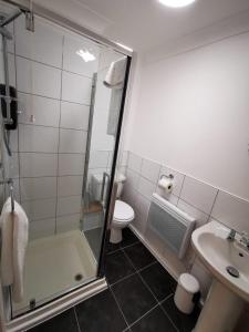 a bathroom with a shower and a toilet and a sink at High Street Flats in Broadstairs