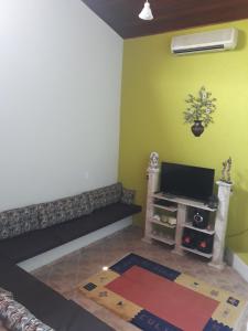 a living room with a couch and a television at Chácara Santa Rita in Bom Jesus dos Perdões