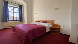 Postel nebo postele na pokoji v ubytování HOTEL CHATEAU ZAMEK CEJKOVICE