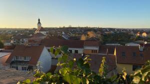 Nespecifikovaný výhled na destinaci Čejkovice nebo výhled na město při pohledu z hotelu
