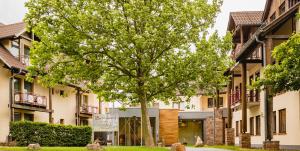 a tree in front of a building at Hotel - Restaurant Bastenhaus in Dannenfels