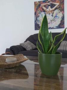Posezení v ubytování Villa Sorella Baranja
