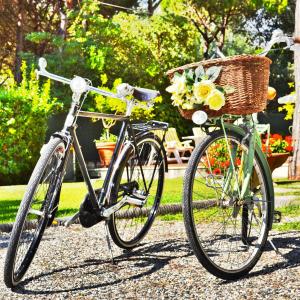 Una bicicleta con una cesta con flores. en Hotel Villa Fiorisella, en Marina di Massa