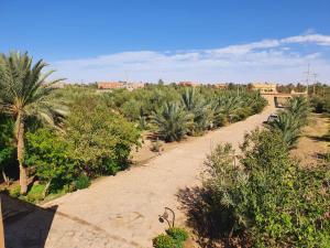 a dirt road with a bunch of palm trees at Gite FEZNA in Erfoud