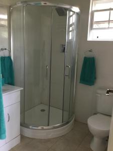 a glass shower in a bathroom with a toilet at The Pool House in Saint Philip