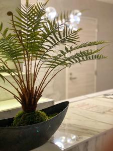 Foto dalla galleria di Hotel Venus Garden(Adult Only) a Nagoya