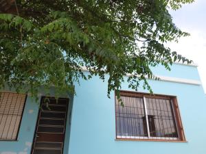 a blue building with two windows and a tree at Casa Livramento Rivera diária in Santana do Livramento