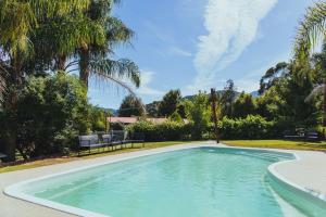a swimming pool in a yard with palm trees at Dartmouth Motor Inn in Dartmouth