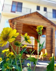 a group of yellow flowers in front of a dog house at Барокко in Bilhorod-Dnistrovskyi