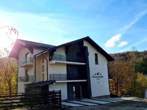 a white building with a black roof and trees at Beconia Riverside in Văliug