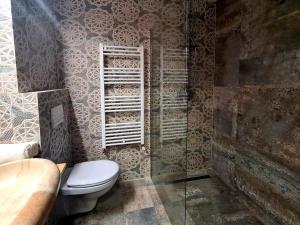 a bathroom with a toilet and a window at Beconia Riverside in Văliug +34 photos