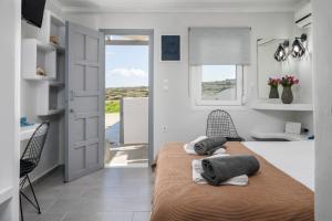 Φωτογραφία από το άλμπουμ του Tsakonas Mandrakia Home στα Μαντράκια