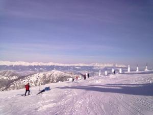 Trượt tuyết gần/tại căn hộ