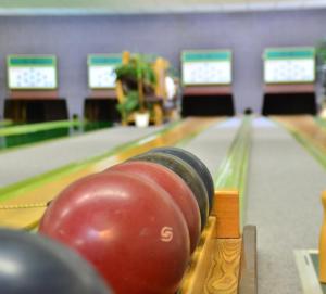 a close up of a bowling alley with a ball at Hotel Deutsches Haus in Dingelstädt