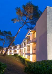 an apartment building at night with a tree at Novotel Antibes Sophia Antipolis in Valbonne