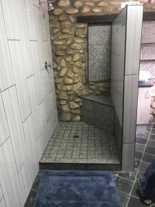 a bathroom with a shower with a stone wall at Whalestone in Port Elizabeth