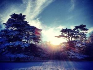 two trees on a snowy road with the sun behind them at Domaine de Montchevreuil in Fresneaux-Montchevreuil