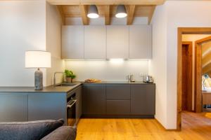 Kuchyň nebo kuchyňský kout v ubytování Britannia Penthouse